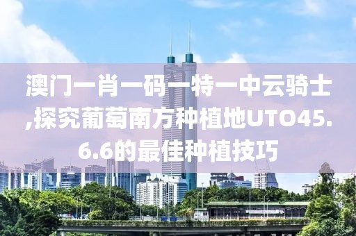 澳門一肖一碼一特一中云騎士,探究葡萄南方種植地UTO45.6.6的最佳種植技巧