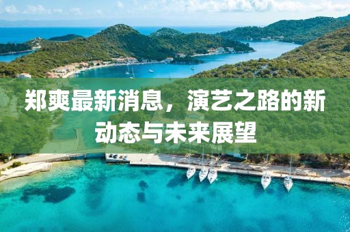 鄭爽最新消息，演藝之路的新動態(tài)與未來展望