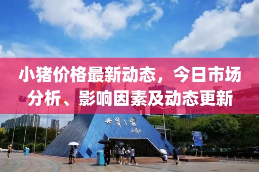 小豬價(jià)格最新動(dòng)態(tài)，今日市場(chǎng)分析、影響因素及動(dòng)態(tài)更新