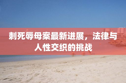 刺死辱母案最新進(jìn)展，法律與人性交織的挑戰(zhàn)