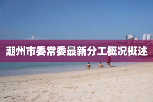 潮州市委常委最新分工概況概述