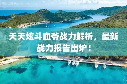 天天炫斗血爺戰(zhàn)力解析，最新戰(zhàn)力報(bào)告出爐！