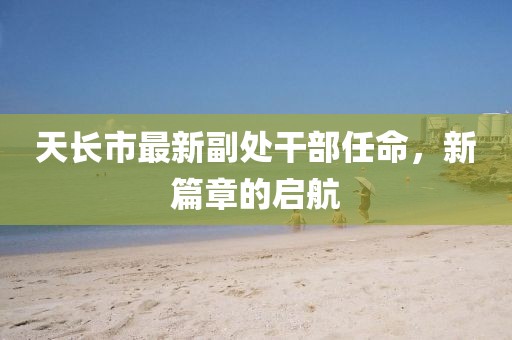 天長(zhǎng)市最新副處干部任命，新篇章的啟航