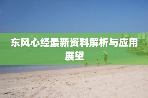 東風(fēng)心經(jīng)最新資料解析與應(yīng)用展望