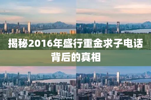 揭秘2016年盛行重金求子電話背后的真相