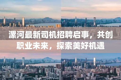 漯河最新司機(jī)招聘啟事，共創(chuàng)職業(yè)未來，探索美好機(jī)遇