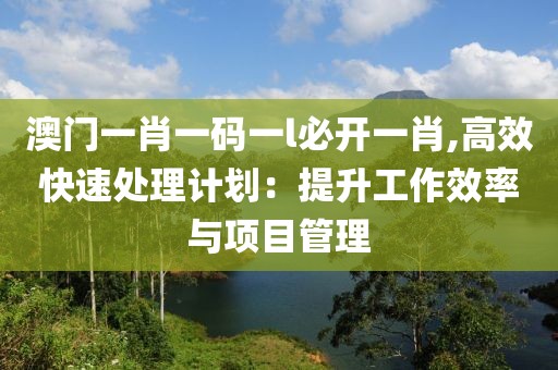 澳門一肖一碼一l必開(kāi)一肖,高效快速處理計(jì)劃：提升工作效率與項(xiàng)目管理