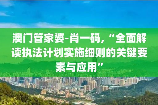 澳門(mén)管家婆-肖一碼,“全面解讀執(zhí)法計(jì)劃實(shí)施細(xì)則的關(guān)鍵要素與應(yīng)用”