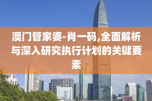 澳門管家婆-肖一碼,全面解析與深入研究執(zhí)行計(jì)劃的關(guān)鍵要素