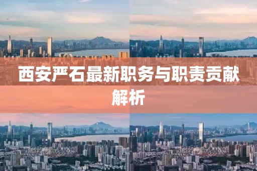 西安嚴(yán)石最新職務(wù)與職責(zé)貢獻(xiàn)解析