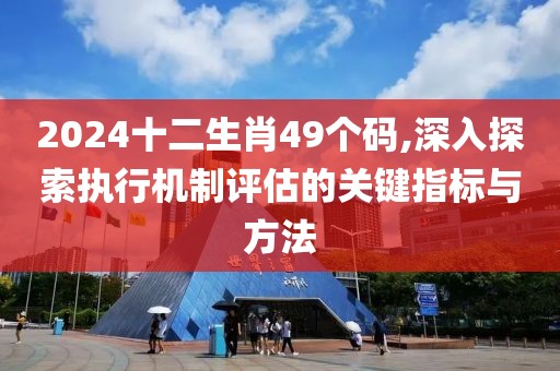 2024十二生肖49個(gè)碼,深入探索執(zhí)行機(jī)制評(píng)估的關(guān)鍵指標(biāo)與方法