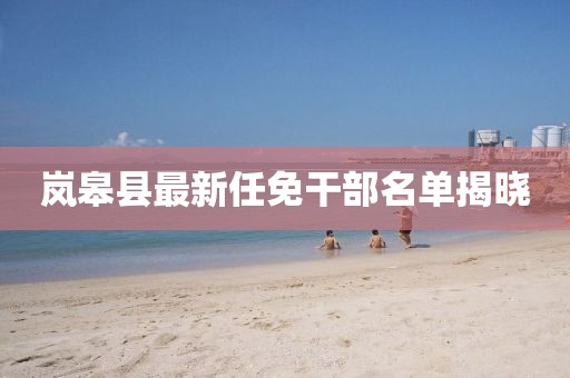嵐皋縣最新任免干部名單揭曉