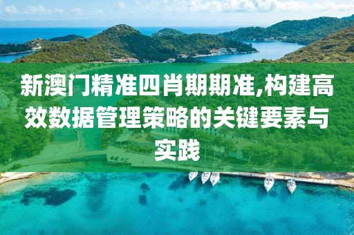 新澳門精準(zhǔn)四肖期期準(zhǔn),構(gòu)建高效數(shù)據(jù)管理策略的關(guān)鍵要素與實(shí)踐