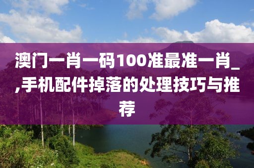 澳門一肖一碼100準(zhǔn)最準(zhǔn)一肖_,手機(jī)配件掉落的處理技巧與推薦