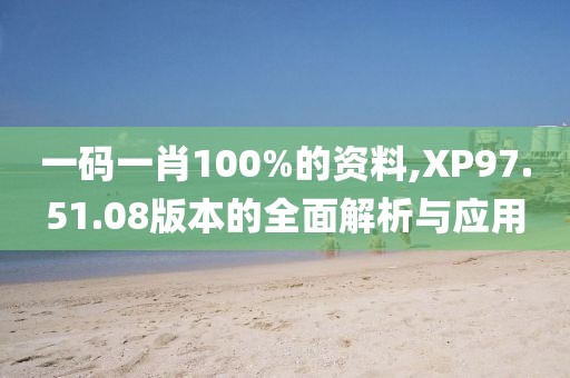 一碼一肖100%的資料,XP97.51.08版本的全面解析與應(yīng)用