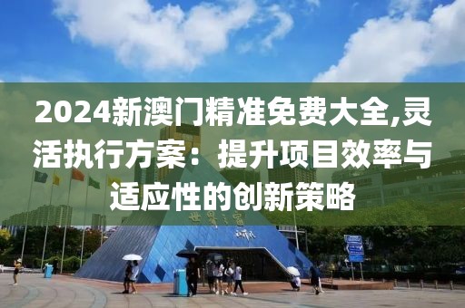 2024新澳門精準(zhǔn)免費(fèi)大全,靈活執(zhí)行方案：提升項(xiàng)目效率與適應(yīng)性的創(chuàng)新策略