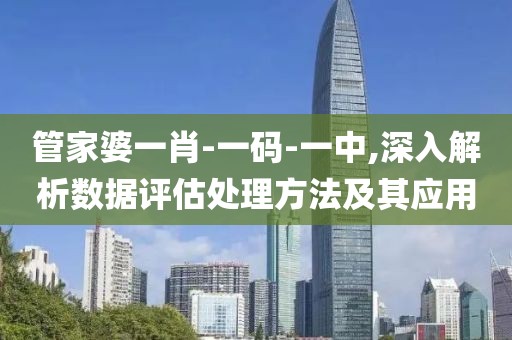 管家婆一肖-一碼-一中,深入解析數(shù)據(jù)評估處理方法及其應用