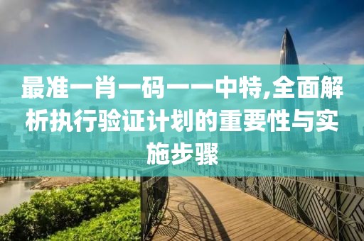 最準一肖一碼一一中特,全面解析執(zhí)行驗證計劃的重要性與實施步驟
