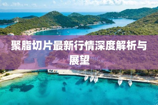 聚脂切片最新行情深度解析與展望
