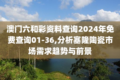 澳門六和彩資料查詢2024年免費(fèi)查詢01-36,分析塞隆陶瓷市場需求趨勢與前景