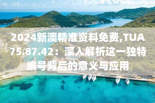 2024新澳精準資料免費,TUA75.87.42：深入解析這一獨特編號背后的意義與應用
