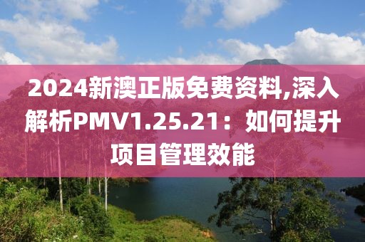 2024新澳正版免費(fèi)資料,深入解析PMV1.25.21：如何提升項(xiàng)目管理效能