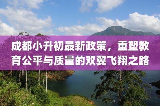 成都小升初最新政策，重塑教育公平與質(zhì)量的雙翼飛翔之路