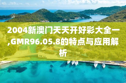 2004新澳門天天開好彩大全一,GMR96.05.8的特點與應(yīng)用解析