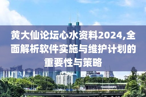 黃大仙論壇心水資料2024,全面解析軟件實(shí)施與維護(hù)計(jì)劃的重要性與策略