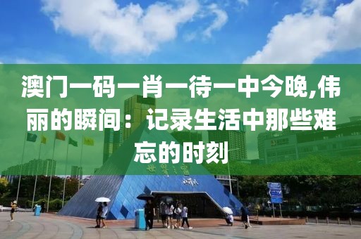 澳門一碼一肖一待一中今晚,偉麗的瞬間：記錄生活中那些難忘的時刻