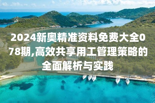 2024新奧精準(zhǔn)資料免費(fèi)大全078期,高效共享用工管理策略的全面解析與實(shí)踐
