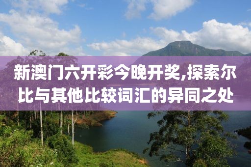 新澳門六開彩今晚開獎,探索爾比與其他比較詞匯的異同之處