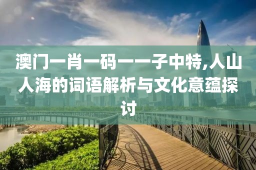 澳門一肖一碼一一子中特,人山人海的詞語解析與文化意蘊探討