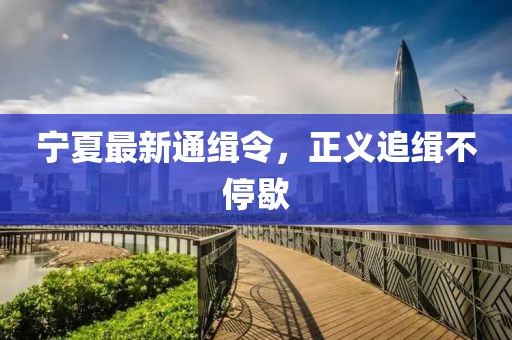 寧夏最新通緝令，正義追緝不停歇