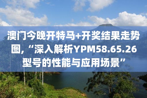 澳門今晚開特馬+開獎結果走勢圖,“深入解析YPM58.65.26型號的性能與應用場景”