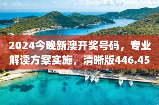 2024今晚新澳開獎(jiǎng)號(hào)碼，專業(yè)解讀方案實(shí)施，清晰版446.45