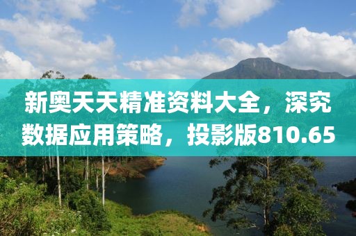 新奧天天精準(zhǔn)資料大全，深究數(shù)據(jù)應(yīng)用策略，投影版810.65