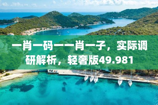 一肖一碼一一肖一子，實(shí)際調(diào)研解析，輕奢版49.981