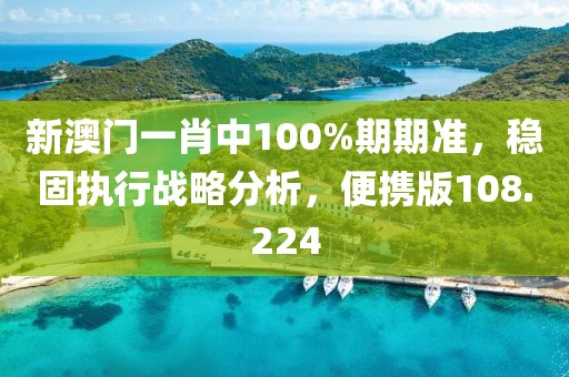 新澳門一肖中100%期期準(zhǔn)，穩(wěn)固執(zhí)行戰(zhàn)略分析，便攜版108.224