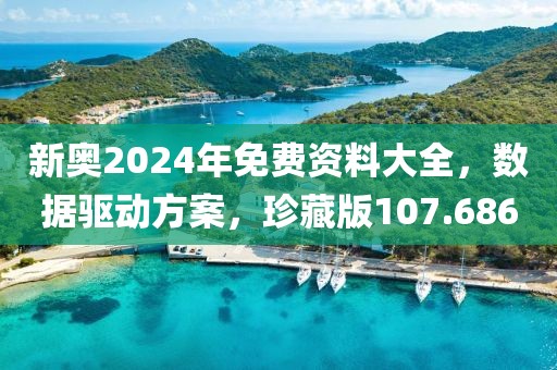 新奧2024年免費資料大全，數(shù)據(jù)驅(qū)動方案，珍藏版107.686