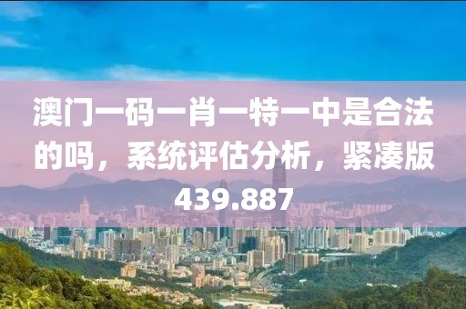 澳門一碼一肖一特一中是合法的嗎，系統(tǒng)評(píng)估分析，緊湊版439.887