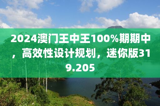 2024澳門王中王100%期期中，高效性設計規(guī)劃，迷你版319.205