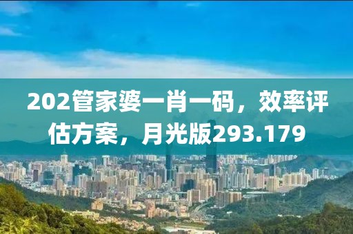 202管家婆一肖一碼，效率評(píng)估方案，月光版293.179