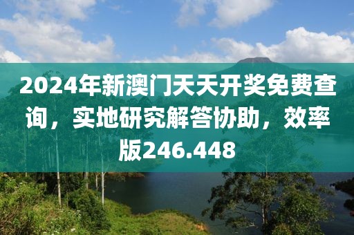 2024年新澳門天天開獎免費查詢，實地研究解答協(xié)助，效率版246.448