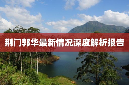荊門郭華最新情況深度解析報告