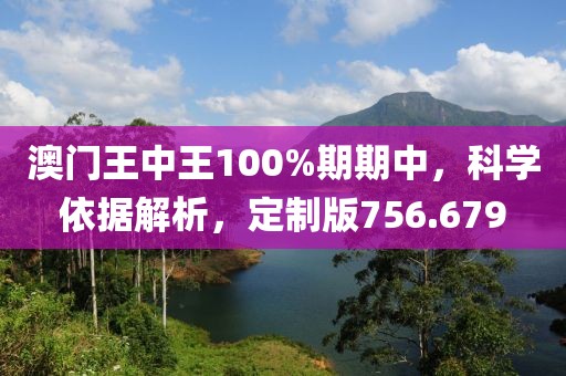澳門王中王100%期期中，科學依據(jù)解析，定制版756.679
