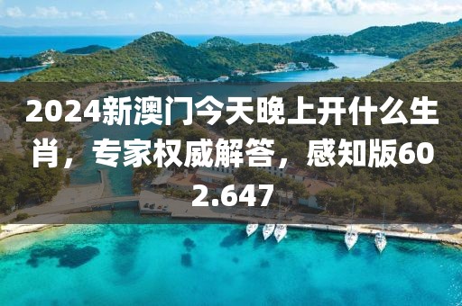 2024新澳門今天晚上開什么生肖，專家權(quán)威解答，感知版602.647