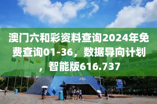 澳門六和彩資料查詢2024年免費(fèi)查詢01-36，數(shù)據(jù)導(dǎo)向計(jì)劃，智能版616.737