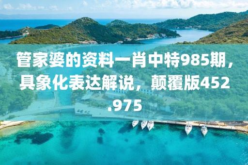 管家婆的資料一肖中特985期，具象化表達(dá)解說，顛覆版452.975