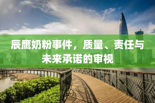 辰鷹奶粉事件，質(zhì)量、責(zé)任與未來承諾的審視